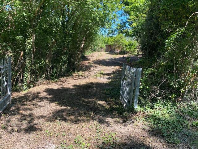 Terreno in vendita a Marche, Pesaro E Urbino