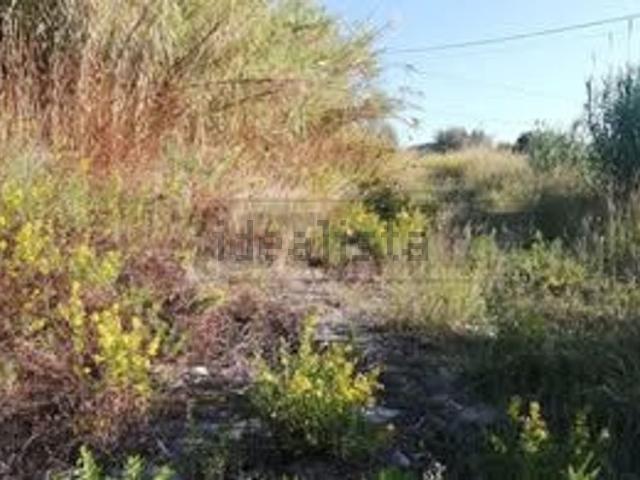 Terreno in vendita a Calabria, Catanzaro