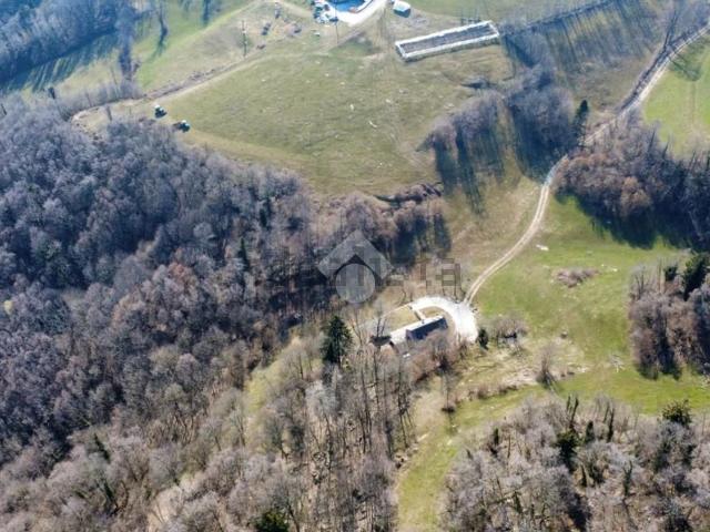 Terreno in vendita a Località Malga Coletta, Bosco Chiesanuova