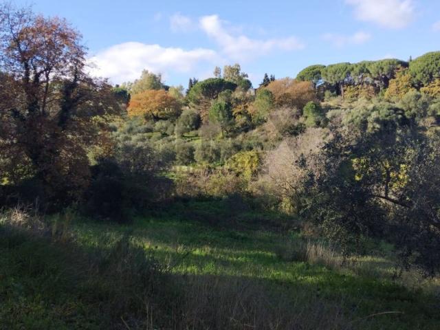 Terreno in vendita a Piazza, Sicilia