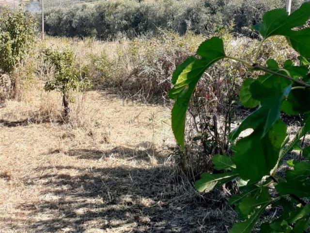 Terreno in vendita a Calabria, Catanzaro