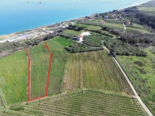 Terreno in vendita a Torino Di Sangro, Abruzzo