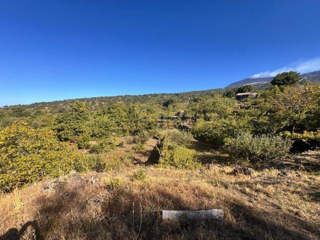 Terreno in vendita a Ragalna, Sicilia