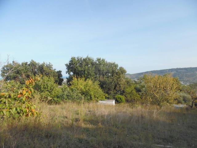 Terreno in vendita a San Donato, Marche