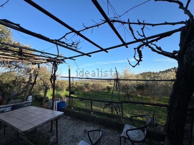 Terreno in vendita a Canepina, Lazio
