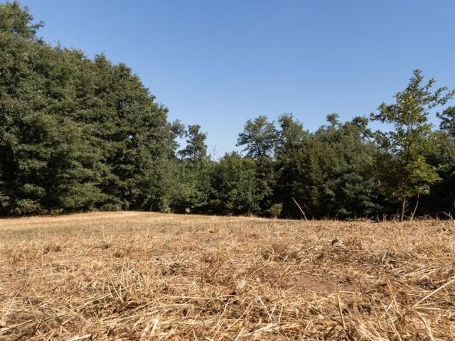 Terreno in vendita a Borgo Le Carcarelle, Viterbo