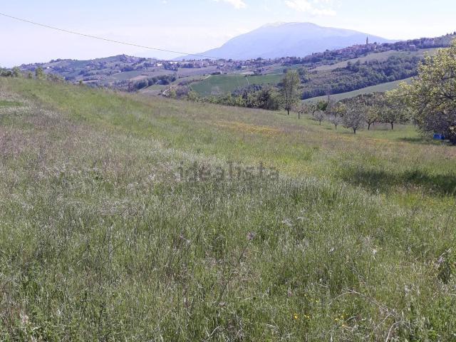 Terreno in vendita a Marche, Ascoli Piceno
