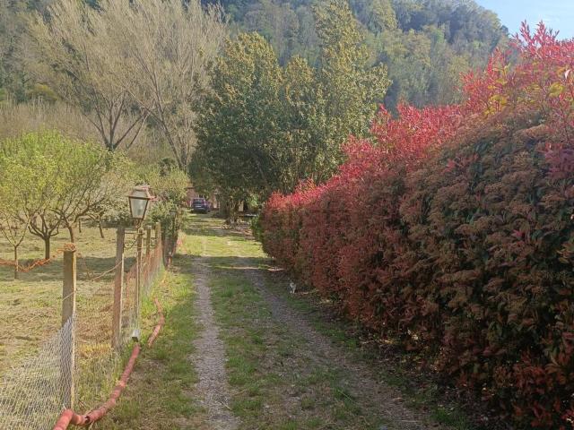 Terreno in vendita a Civita Castellana, Lazio