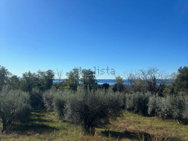 Terreno in vendita a Bolsena, Lazio