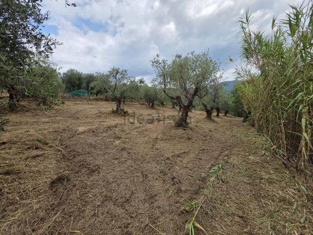 Terreno in vendita a Valdibure, Pistoia