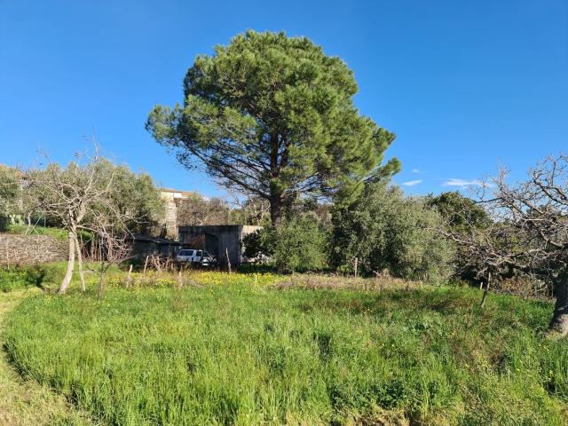 Terreno in vendita a Santa Venerina, Sicilia