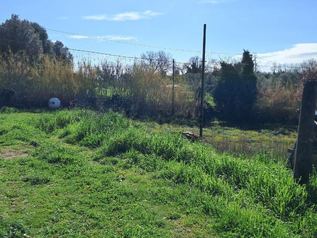 Terreno in vendita a Cevoli, Montefiascone
