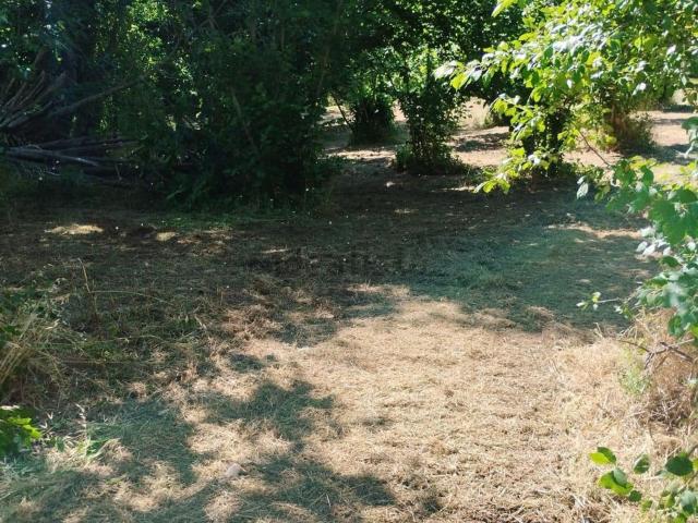 Terreno in vendita a Capriglia Irpina, Campania