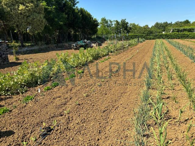 Terreno in vendita a Unione di Comuni della Romagna Forlivese, Quattro