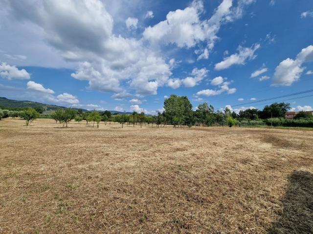 Terreno in vendita a Larciano, Castelmartini
