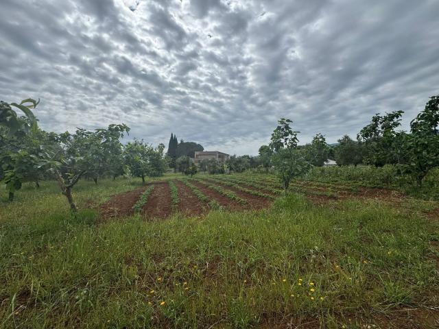 Terreno in vendita a Richetti, Calabria