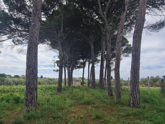 Terreno in vendita a Castelvetrano, Sicilia