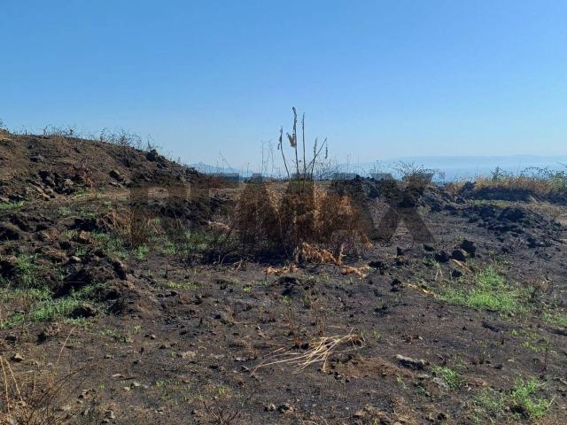 Terreno in vendita a Pisano, Zafferana Etnea