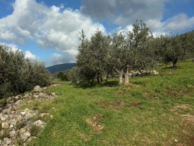 Terreno in vendita a Archileggi, Amelia