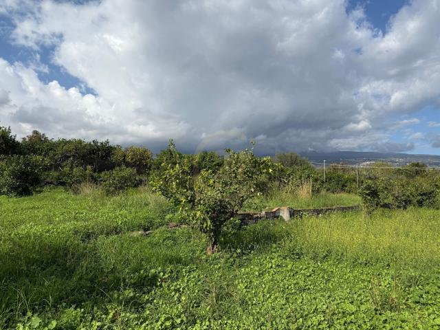 Terreno in vendita a Trepunti, Giarre