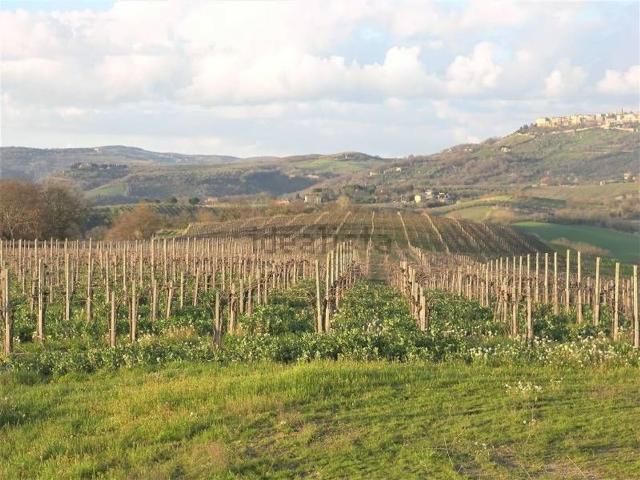 Terreno in vendita a Montecchio, Umbria