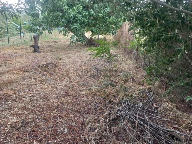 Terreno in vendita a Follonica, Toscana