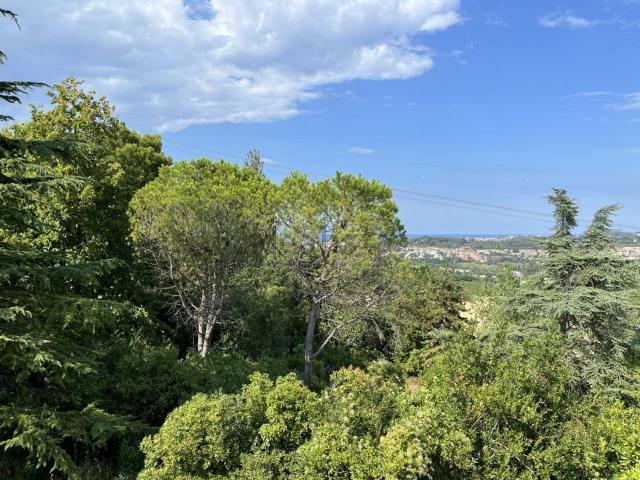 Terreno in vendita a Marche, Ancona