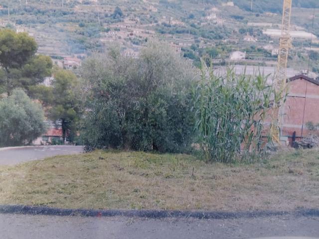 Terreno in vendita a San Biagio Della Cima, Liguria