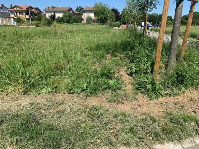 Terreno in vendita a Sant'Andrea in Besanigo, Coriano