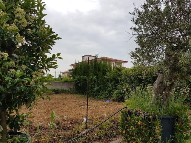 Terreno in vendita a Oreto, Barcellona Pozzo Di Gotto