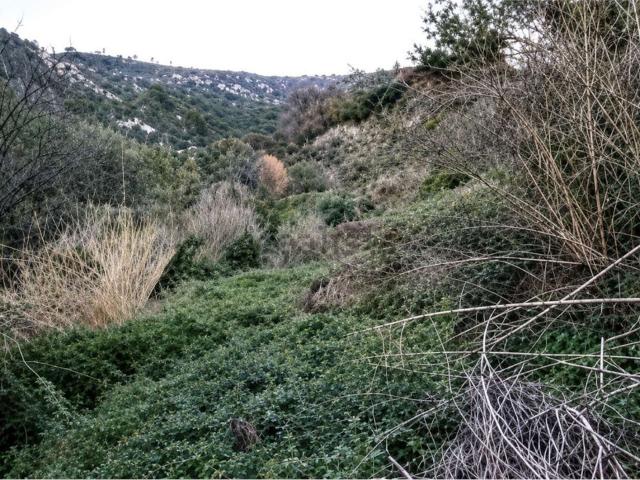 Terreno in vendita a Poggio di Sanremo, San Remo