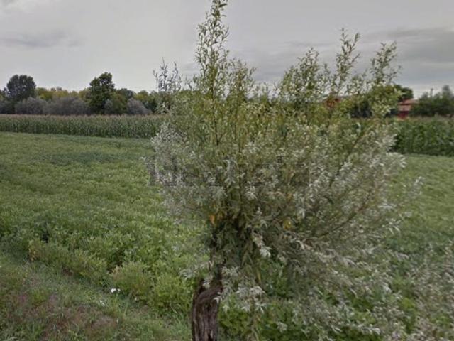 Terreno in vendita a San Stino di Livenza, Veneto