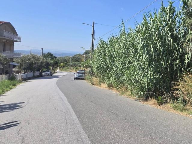 Terreno in vendita a Calabria, Catanzaro