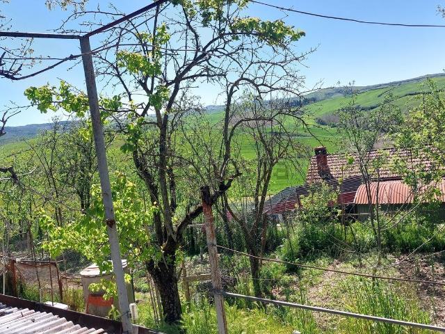 Terreno in vendita a Asciano, Toscana