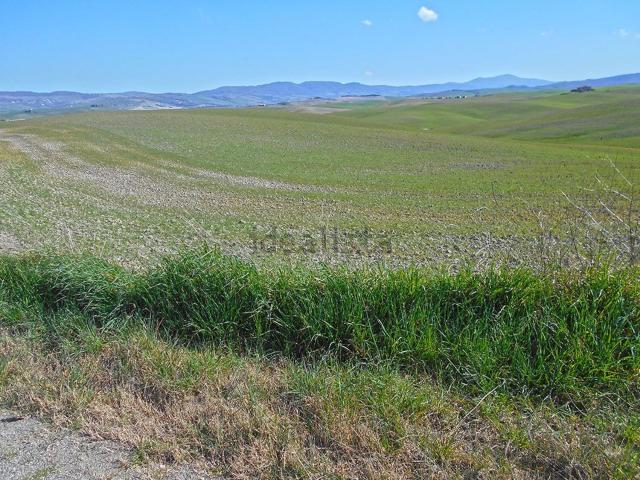 Terreno in vendita a Castiglione D'orcia, Toscana
