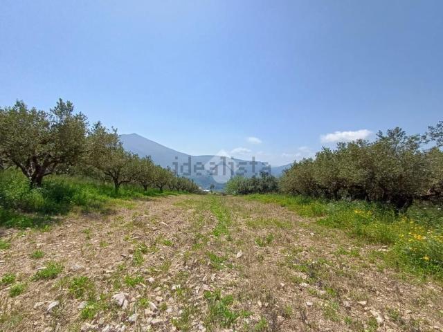 Terreno in vendita a Castellammare Del Golfo, Sicilia