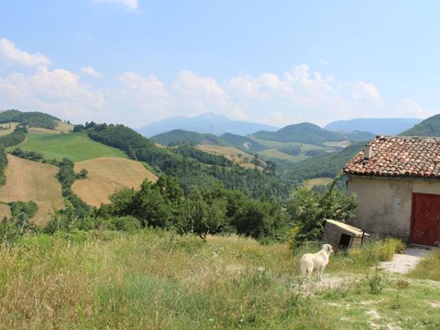 Terreno in vendita a Marche, Pesaro E Urbino