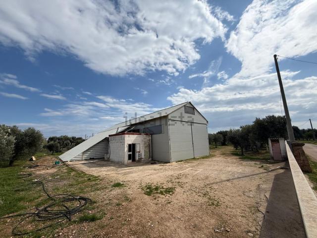 Terreno in vendita a Puglia, Brindisi