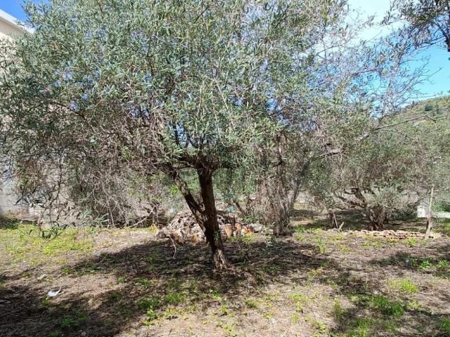 Terreno in vendita a Villafranca Tirrena, Sicilia