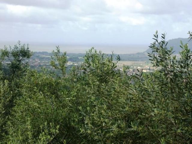 Terreno in vendita a Cerreta, Castelnuovo Magra