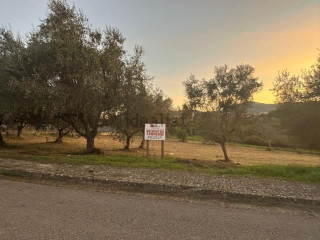 Terreno in vendita a Calvi, Campania