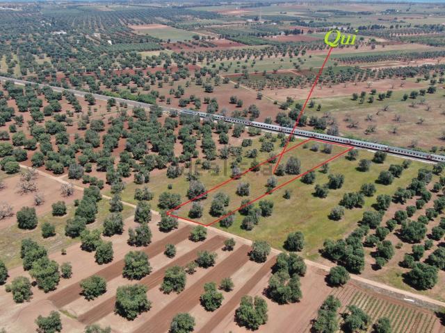 Terreno in vendita a Puglia, Brindisi
