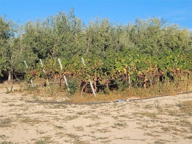 Terreno in vendita a Puglia, Foggia
