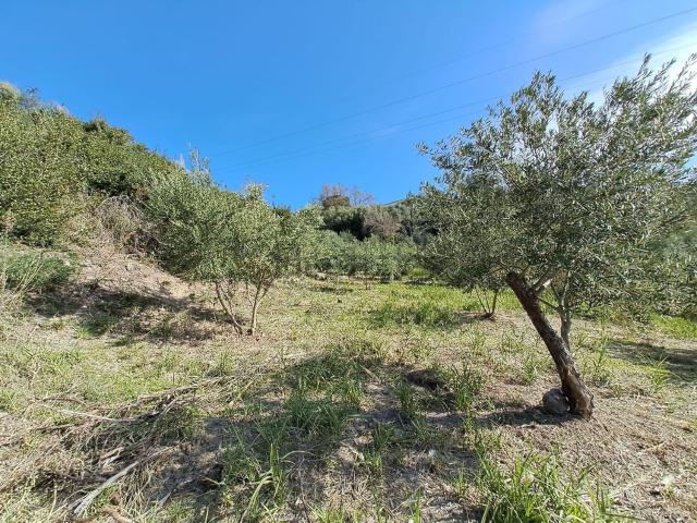 Terreno in vendita a Calabria, Cosenza