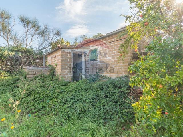 Terreno in vendita a Ischia Di Castro, Lazio