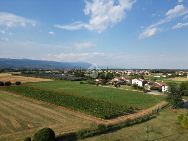 Terreno in vendita a Sandrigo, Veneto