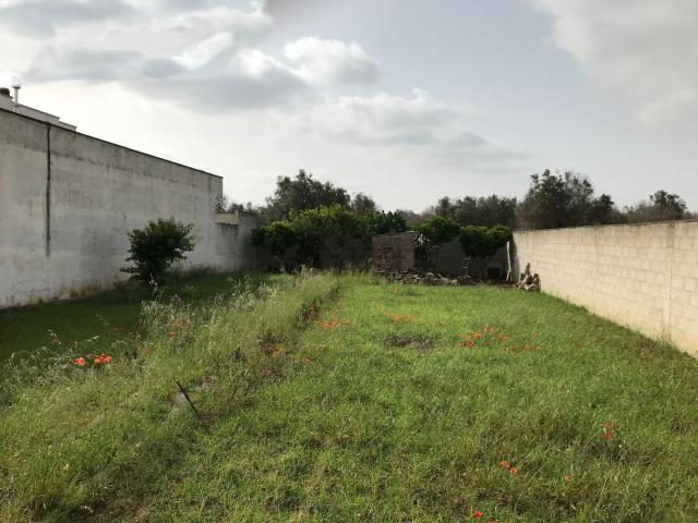 Terreno in vendita a Puglia, Brindisi