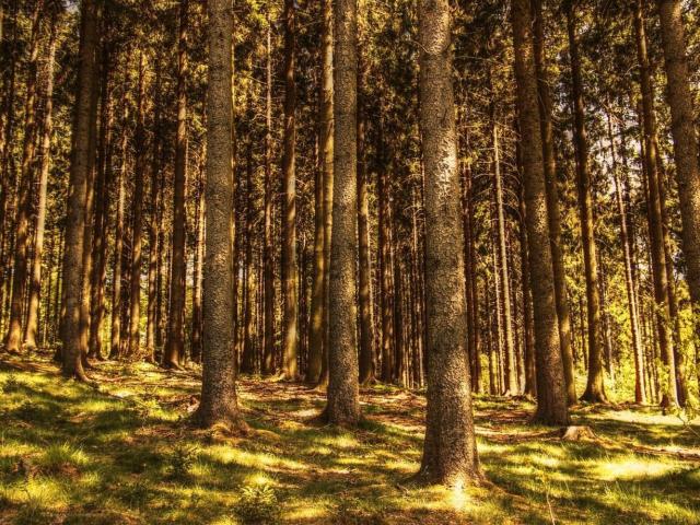 Terreno in vendita a Fregona, Veneto