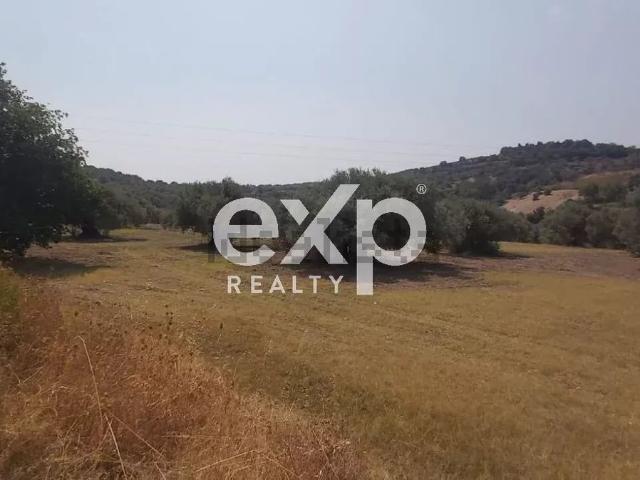Terreno in vendita a Calabria, Reggio Calabria