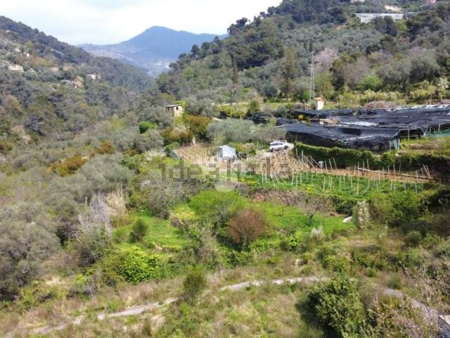 Terreno in vendita a Vallebona, Liguria